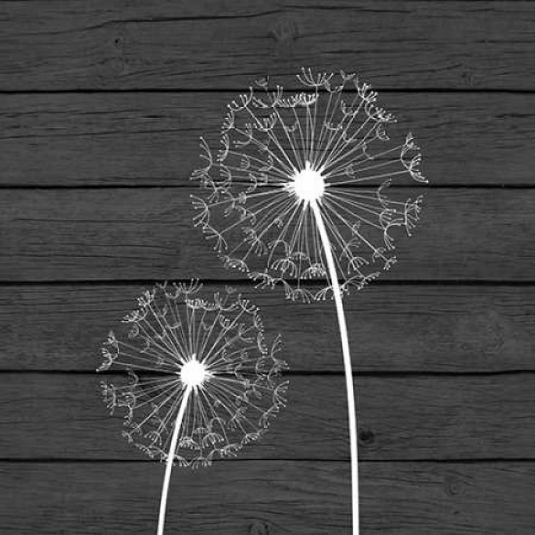 Grey Dandelion III Canvas Art - Tamara Robinson (24 x 24)