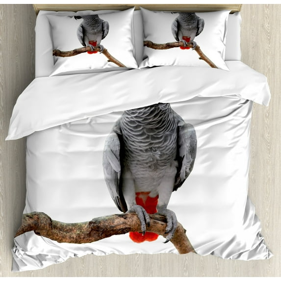 Grey Duvet Cover Set Queen Size, African Parrot Bird Psittacus Erithacus Standing on a Branch Tropical Nature Wildlife, Decorative 3 Piece Bedding Set with 2 Pillow Shams, Multicolor, by Ambesonne