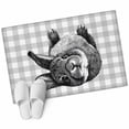 thumbnail image 1 of Grey Easter Area Rugs Collection 2'x3', Spring Country Cute Bunny Plaid Checkered Non Slip Indoor Rectangle Throw Runner Rug Floor Mat Carpet for Living Room Dining Table Bedroom Nursery, 1 of 9