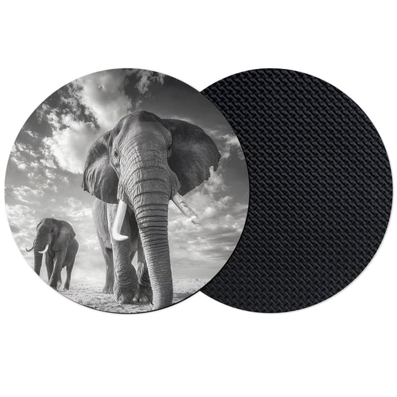 Grey Elephant Coasters Set of 2, Absorbent Coasters for Drinks, Modern Art Contemporary Luxury Coaster for Desk Coffee Table Protection, Home Decor House Warming Gifts 4"
