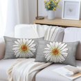 thumbnail image 1 of Grey Gray Spring Daisy Lumbar Pillow Covers 12x20 Set of 2 Cute Floral Summer Outdoor Decorative Throw Pillows Flower Pillowcases Linen Rectangle Cushion Case Decor for Home Sofa Couch Bed, 1 of 7