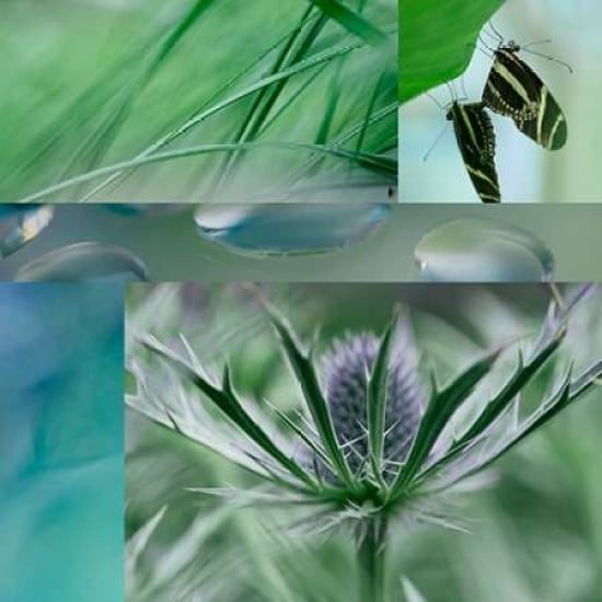 Grey Green Collage Canvas Art - Cora Niele (24 x 24)