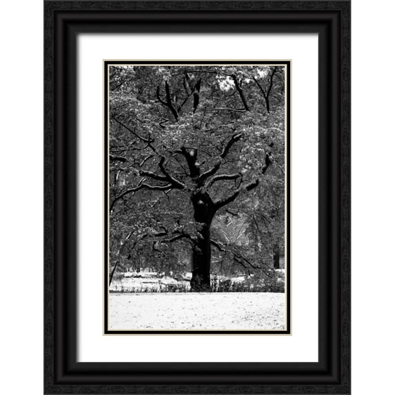 Grey, Jace 11x14 Black Ornate Wood Framed with Double Matting Museum Art Print Titled - Central Park Solitary Friend