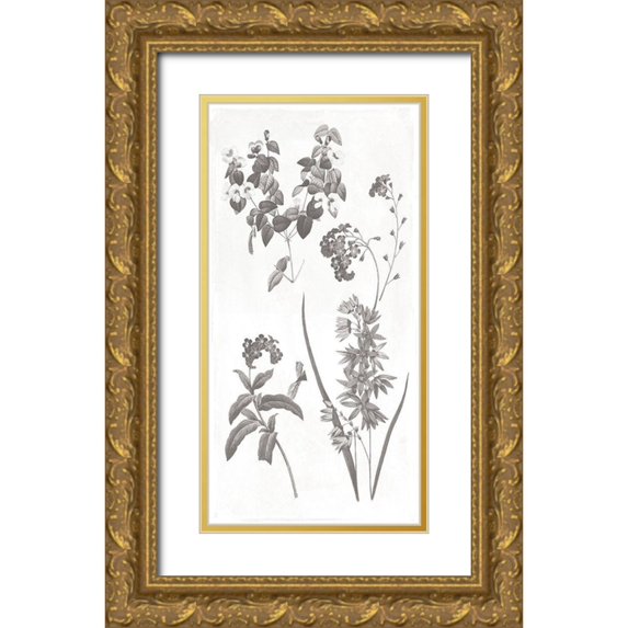 Grey, Jace 11x18 Gold Ornate Wood Framed with Double Matting Museum Art Print Titled - Plants