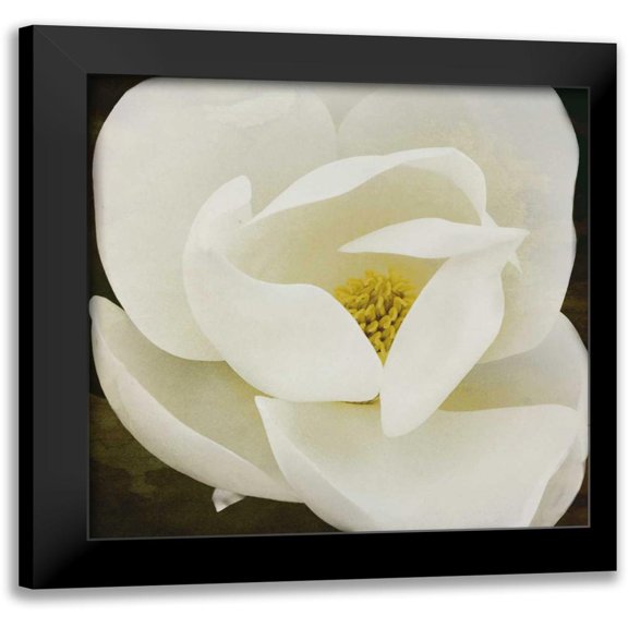 Grey, Jace 12x12 Black Modern Framed Museum Art Print Titled - MAG