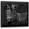 thumbnail image 1 of Grey, Jace 12x12 Black Modern Framed Museum Art Print Titled - Zebra Black And White, 1 of 5
