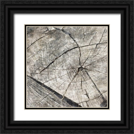 Grey, Jace 12x12 Black Ornate Wood Framed with Double Matting Museum Art Print Titled - Tree Rings Two