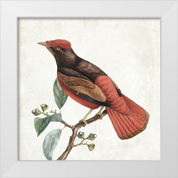 Grey, Jace 12x12 White Modern Wood Framed Museum Art Print Titled - Lovely Birds 3
