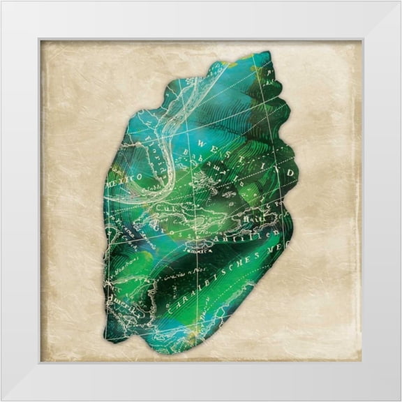 Grey, Jace 12x12 White Modern Wood Framed Museum Art Print Titled - Map Shell