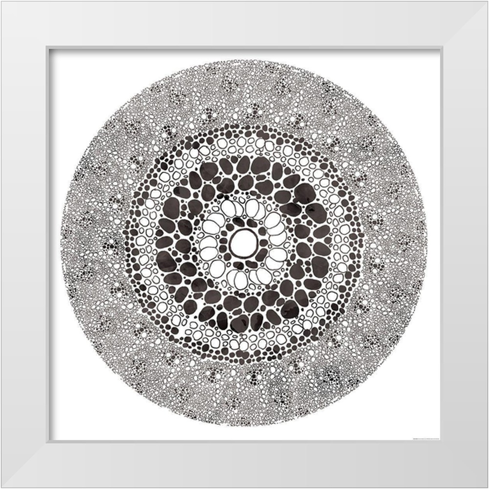 Grey, Jace 12x12 White Modern Wood Framed Museum Art Print Titled ...