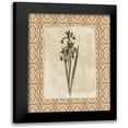 thumbnail image 1 of Grey, Jace 12x14 Black Modern Framed Museum Art Print Titled - Floral bordered 2, 1 of 5