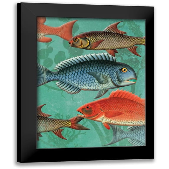 Grey, Jace 12x14 Black Modern Framed Museum Art Print Titled - School OF Fish
