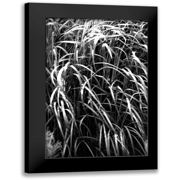 Grey, Jace 13x18 Black Modern Framed Museum Art Print Titled - Beach Foliage 7
