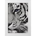 thumbnail image 1 of Grey, Jace 13x18 White Modern Wood Framed Museum Art Print Titled - Tiger Purple Eye Mate, 1 of 4