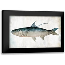 Grey, Jace 14x11 Black Modern Framed Museum Art Print Titled - Blue Fish