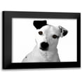 thumbnail image 1 of Grey, Jace 14x12 Black Modern Framed Museum Art Print Titled - Jack Russell Buddy 2, 1 of 5