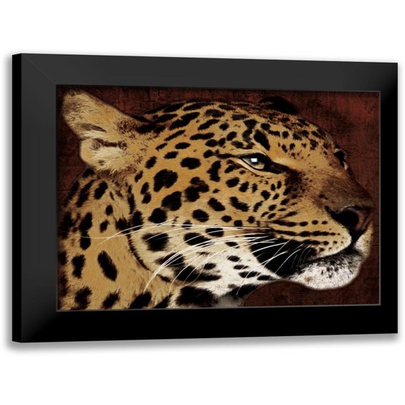 Grey, Jace 14x12 Black Modern Framed Museum Art Print Titled - Leopard