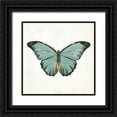 thumbnail image 1 of Grey, Jace 15x15 Black Ornate Wood Framed with Double Matting Museum Art Print Titled - Neutral Butterfly 4, 1 of 4