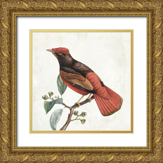 Grey, Jace 15x15 Gold Ornate Wood Framed with Double Matting Museum Art Print Titled - Lovely Birds 3