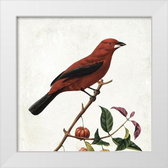 Grey, Jace 15x15 White Modern Wood Framed Museum Art Print Titled - Lovely Birds
