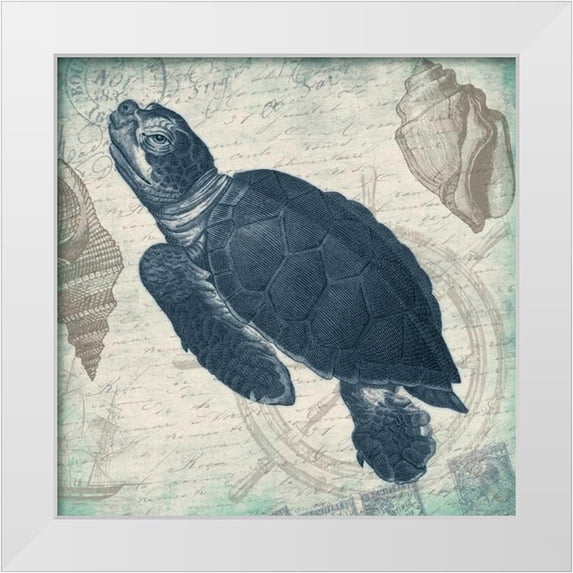 Grey, Jace 15x15 White Modern Wood Framed Museum Art Print Titled - Turtle