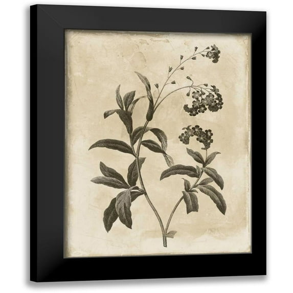 Grey, Jace 15x18 Black Modern Framed Museum Art Print Titled - Earthy floral 1