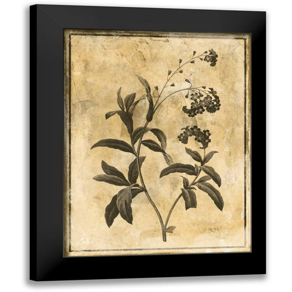 Grey, Jace 15x18 Black Modern Framed Museum Art Print Titled - Stencil Floral Mate