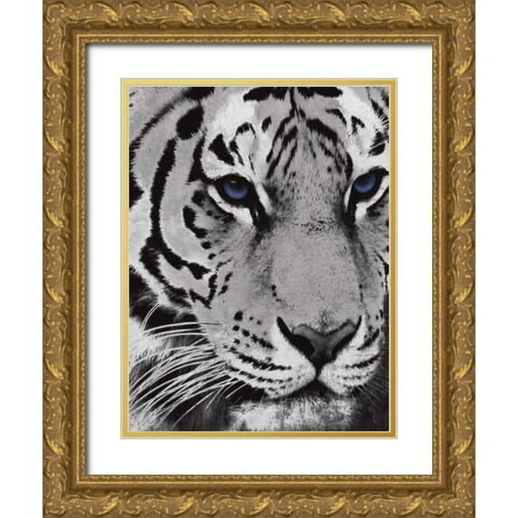 Grey, Jace 15x18 Gold Ornate Wood Framed with Double Matting Museum Art Print Titled - Purple Eyes