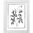 thumbnail image 1 of Grey, Jace 15x18 White Modern Wood Framed Museum Art Print Titled - Forget me not, 1 of 4