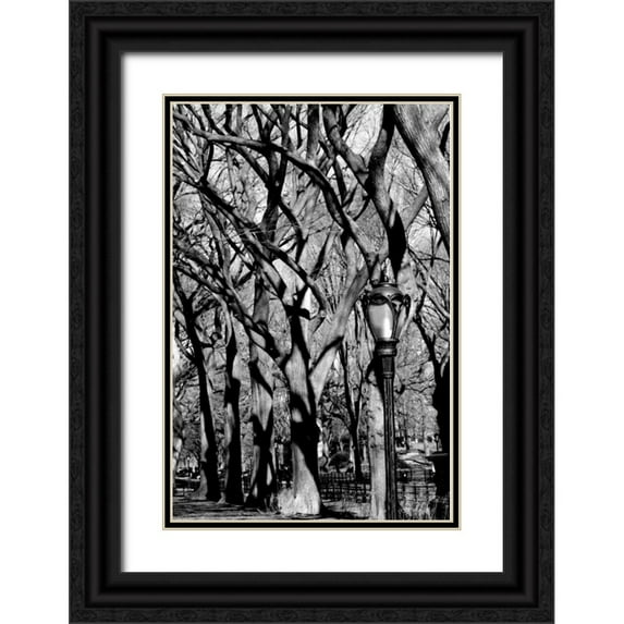 Grey, Jace 17x24 Black Ornate Wood Framed with Double Matting Museum Art Print Titled - Central Park Image 1744