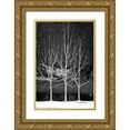 thumbnail image 1 of Grey, Jace 17x24 Gold Ornate Wood Framed with Double Matting Museum Art Print Titled - Central Park Three Amigos Winter, 1 of 4