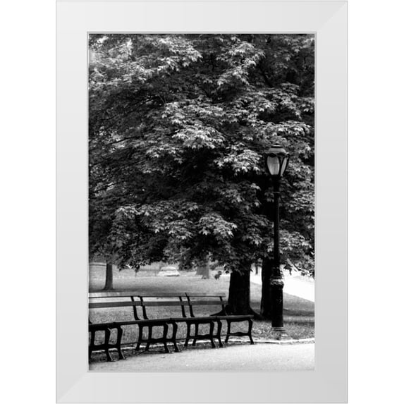 Grey, Jace 17x24 White Modern Wood Framed Museum Art Print Titled - Central Park Benches