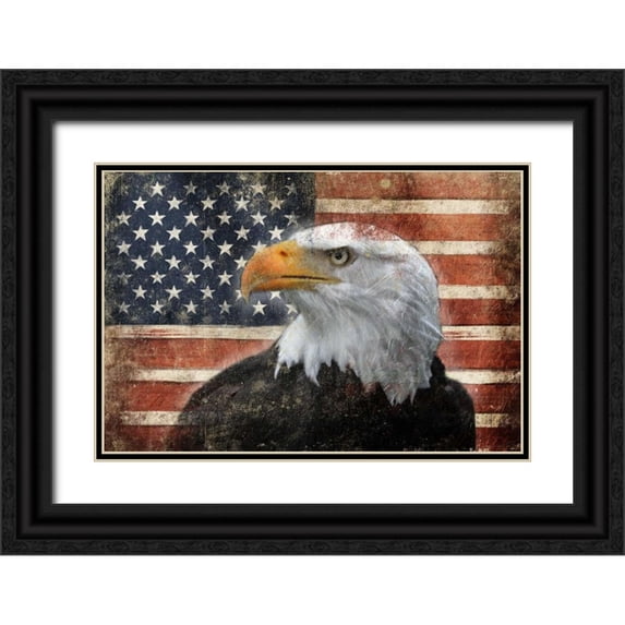Grey, Jace 18x13 Black Ornate Wood Framed with Double Matting Museum Art Print Titled - Eagle and Flag