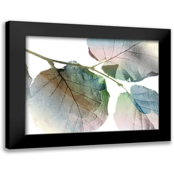Grey, Jace 18x15 Black Modern Framed Museum Art Print Titled - Land Ombre
