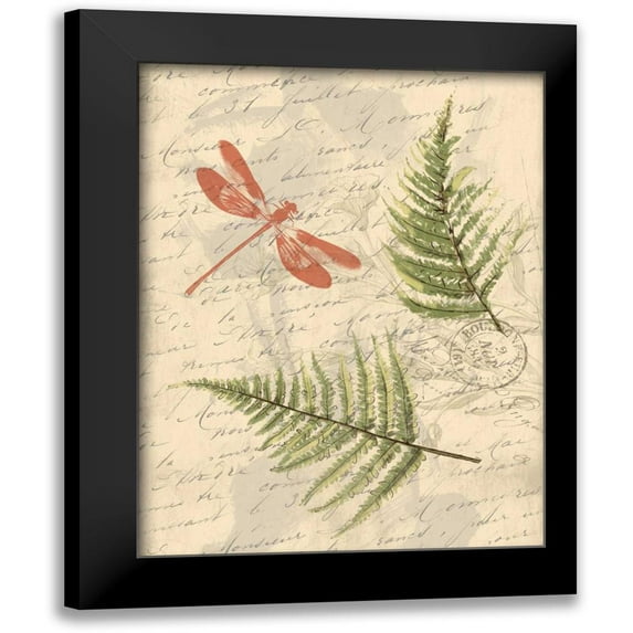 Grey, Jace 19x24 Black Modern Framed Museum Art Print Titled - Ferns