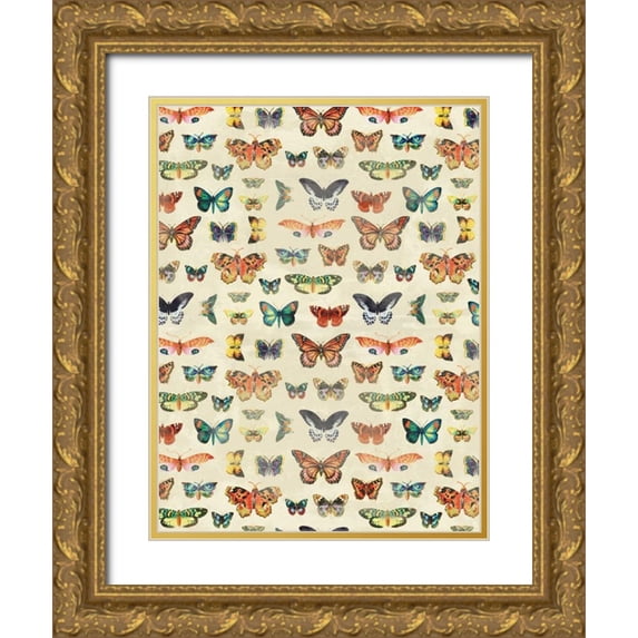 Grey, Jace 19x24 Gold Ornate Wood Framed with Double Matting Museum Art Print Titled - Butterflies