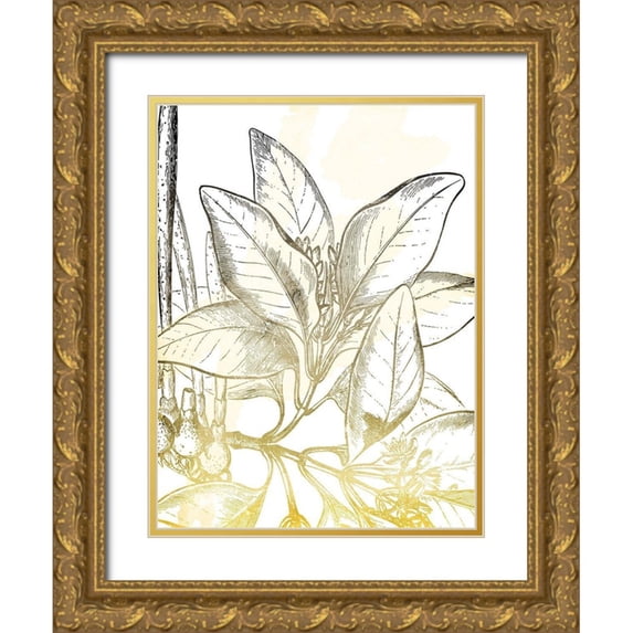 Grey, Jace 19x24 Gold Ornate Wood Framed with Double Matting Museum Art Print Titled - Fade Botanicals Mate