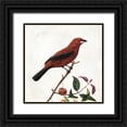 thumbnail image 1 of Grey, Jace 20x20 Black Ornate Wood Framed with Double Matting Museum Art Print Titled - Lovely Birds, 1 of 4