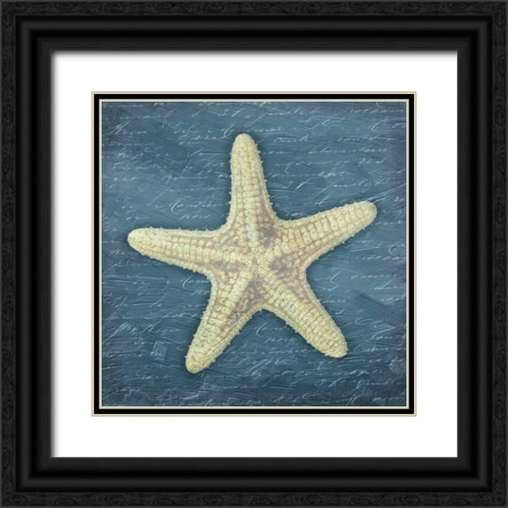 Grey, Jace 20x20 Black Ornate Wood Framed with Double Matting Museum Art Print Titled - Star Fish Light Blue