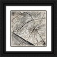 thumbnail image 1 of Grey, Jace 20x20 Black Ornate Wood Framed with Double Matting Museum Art Print Titled - Tree Rings Two, 1 of 4