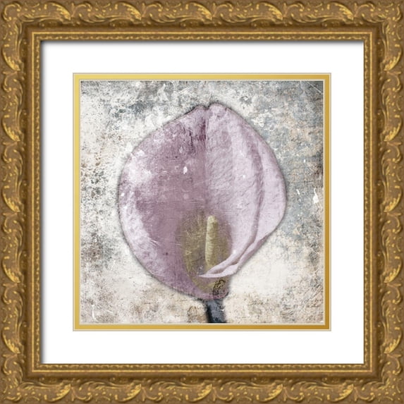 Grey, Jace 20x20 Gold Ornate Wood Framed with Double Matting Museum Art Print Titled - Hazy Grey Pink