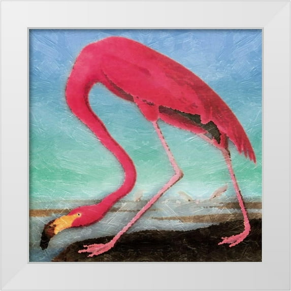 Grey, Jace 20x20 White Modern Wood Framed Museum Art Print Titled - Flamingo