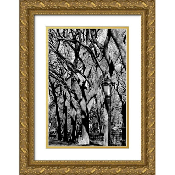 Grey, Jace 23x32 Gold Ornate Wood Framed with Double Matting Museum Art Print Titled - Central Park Forest