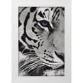 thumbnail image 1 of Grey, Jace 23x32 White Modern Wood Framed Museum Art Print Titled - Tiger Purple Eye, 1 of 4
