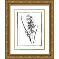 thumbnail image 1 of Grey, Jace 25x32 Gold Ornate Wood Framed with Double Matting Museum Art Print Titled - African Corn Lily, 1 of 4