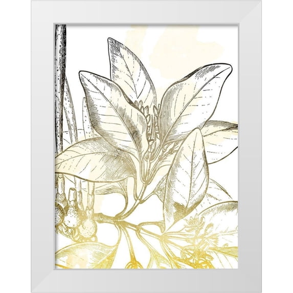Grey, Jace 25x32 White Modern Wood Framed Museum Art Print Titled - Fade Botanicals Mate
