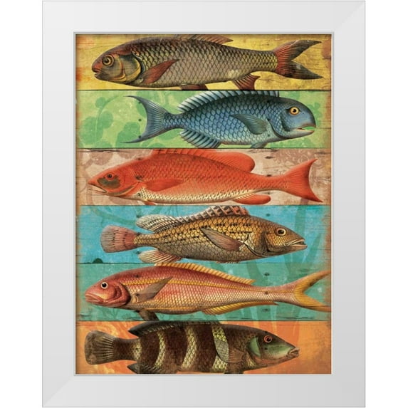 Grey, Jace 25x32 White Modern Wood Framed Museum Art Print Titled - Fish Wall