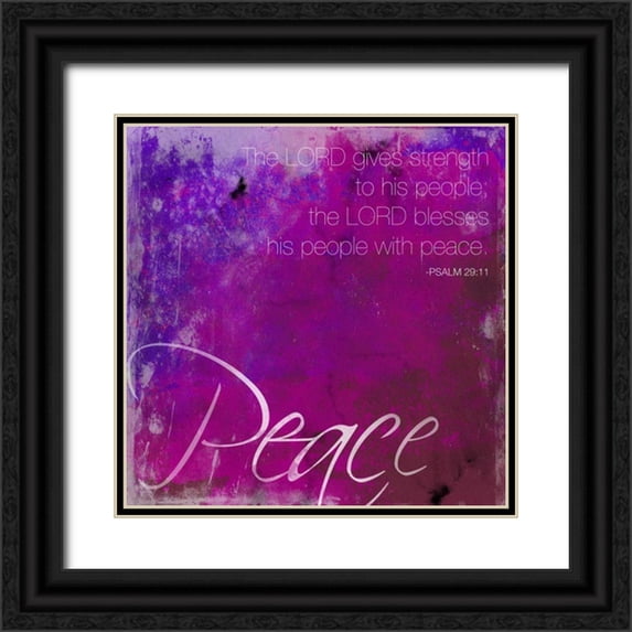 Grey, Jace 26x26 Black Ornate Wood Framed with Double Matting Museum Art Print Titled - Watercolor Peace