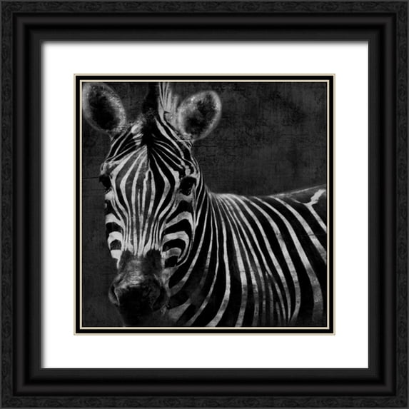 Grey, Jace 26x26 Black Ornate Wood Framed with Double Matting Museum Art Print Titled - Zebra Black And White