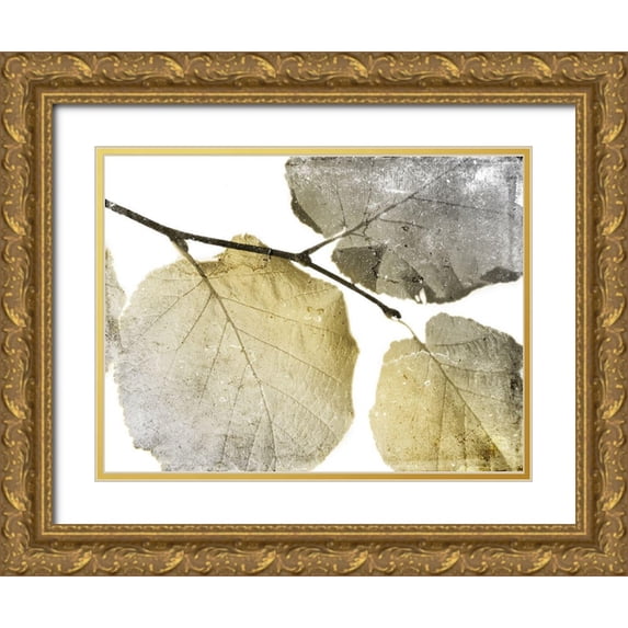 Grey, Jace 32x25 Gold Ornate Wood Framed with Double Matting Museum Art Print Titled - Classic Leaves White